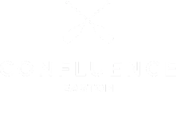 The Confluence Retail& Dining - Easton PA